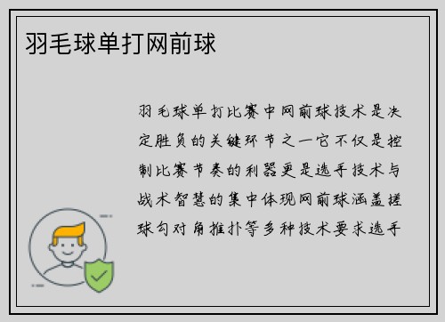 羽毛球单打网前球