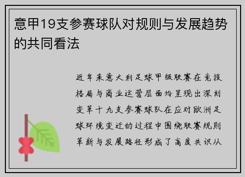 意甲19支参赛球队对规则与发展趋势的共同看法